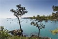 Image du bien UBI476543735
